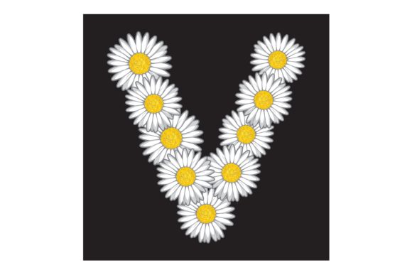 Daisy Flower V Pattern