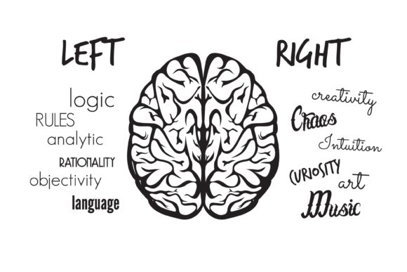 Understanding Brain Function and Its Role in Creative Design